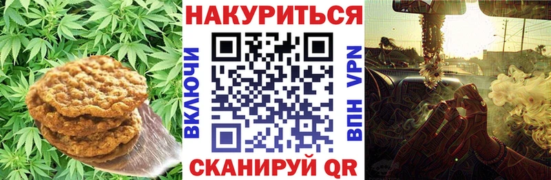 Купить где  Бакал  Canna-Cookies конопля 