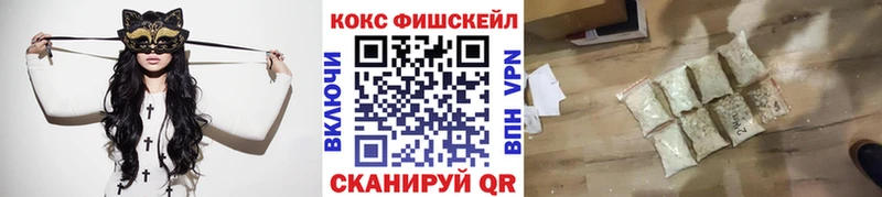 Купить где  Бакал  Cocaine Эквадор 
