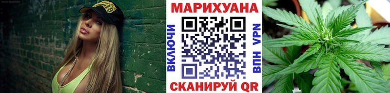Купить где Бакал Каннабис ГИДРОПОН